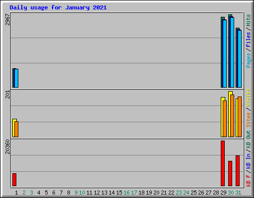 Daily usage for January 2021