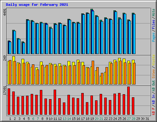 Daily usage for February 2021