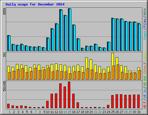 Daily usage for December 2024