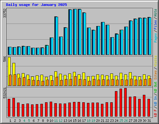 Daily usage for January 2025