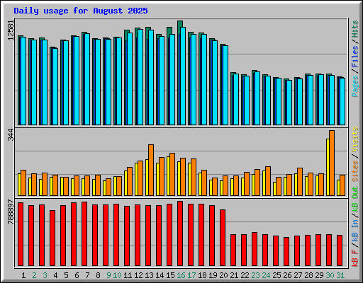 Daily usage for August 2025