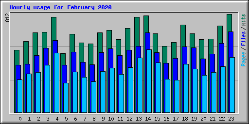 Hourly usage for February 2020