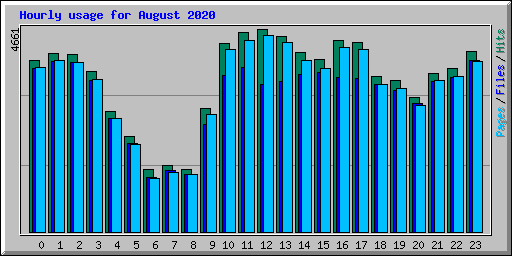 Hourly usage for August 2020