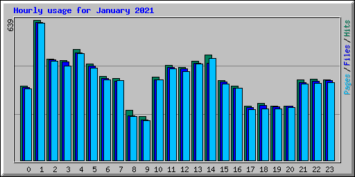 Hourly usage for January 2021