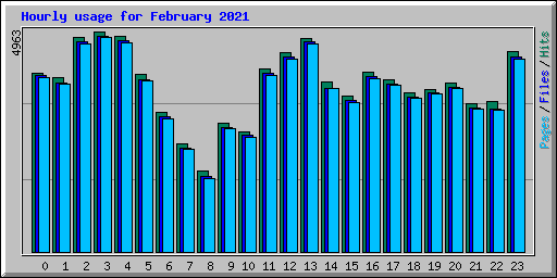 Hourly usage for February 2021