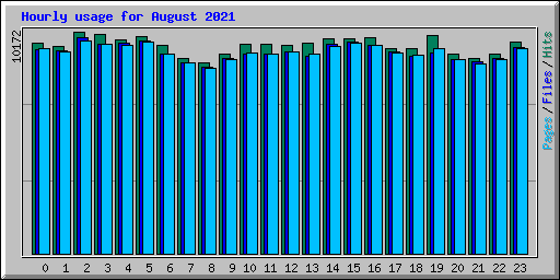Hourly usage for August 2021