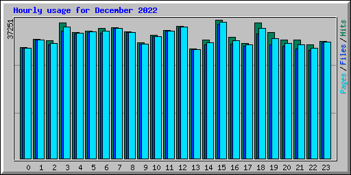 Hourly usage for December 2022