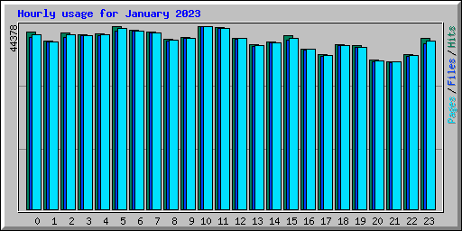 Hourly usage for January 2023