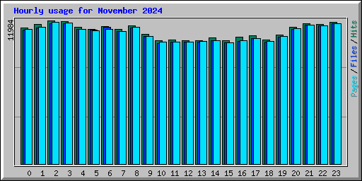 Hourly usage for November 2024