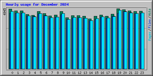 Hourly usage for December 2024