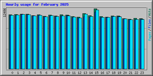 Hourly usage for February 2025