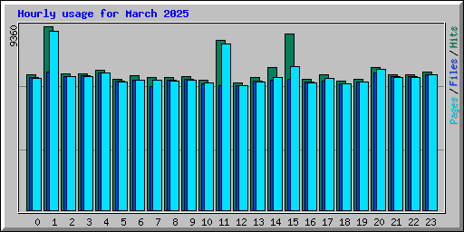 Hourly usage for March 2025
