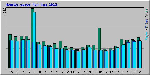 Hourly usage for May 2025