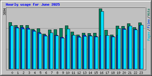 Hourly usage for June 2025