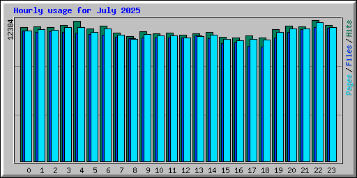 Hourly usage for July 2025