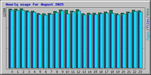 Hourly usage for August 2025