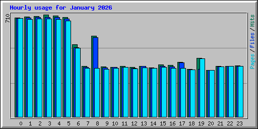 Hourly usage for January 2026