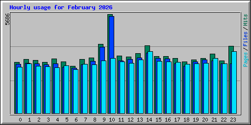 Hourly usage for February 2026